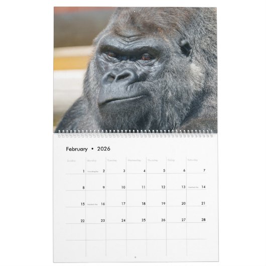 NEW for 2026 Gorilla Calendar カレンダー (2月 2026)