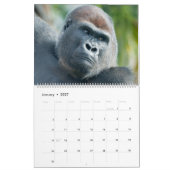 NEW for 2026 Gorilla Calendar カレンダー (1月 2027)