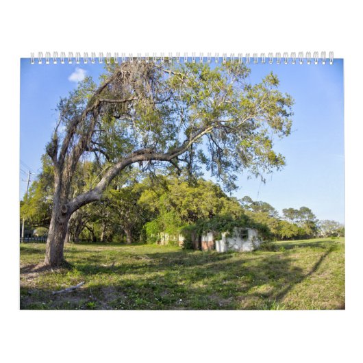New For 2026 Pawleys Island Large Wall Calendar カレンダー (カバー)