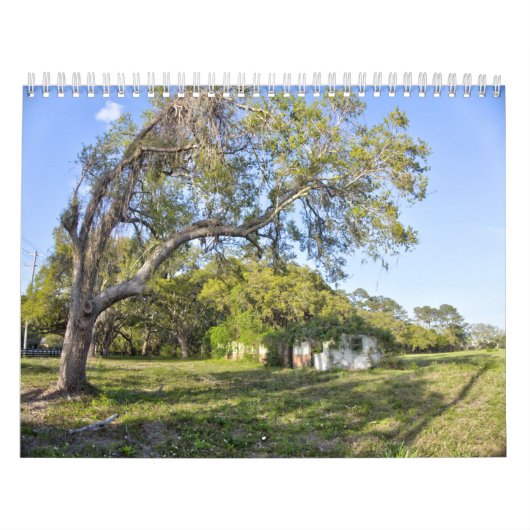 New For 2026 Pawleys Island Wall Calendar カレンダー (カバー)