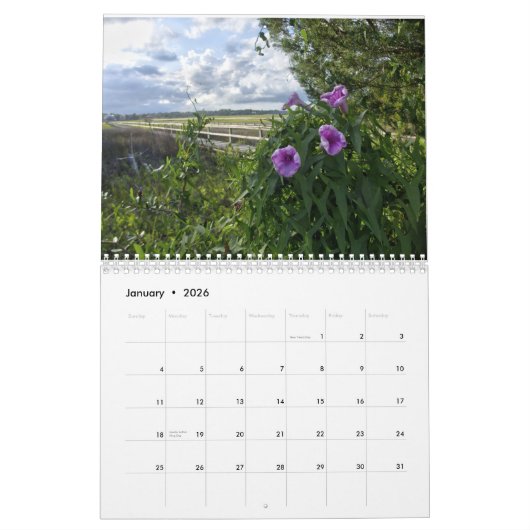 New For 2026 Pawleys Island Wall Calendar カレンダー (1月 2026)