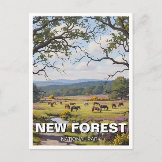 New Forest National Park Travel ポストカード (正面)