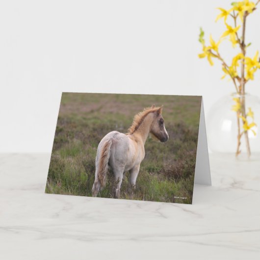 New Forest Pony Foal Standing In Scrub カード (黄色い花)