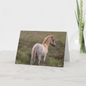 New Forest Pony Foal Standing In Scrub カード (正面)