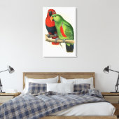 New Guinea Eclectus, parrots, キャンバスプリント (インサイチュ (寝室))