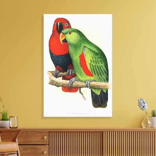New Guinea Eclectus, parrots, キャンバスプリント (インサイチュ (リビング))