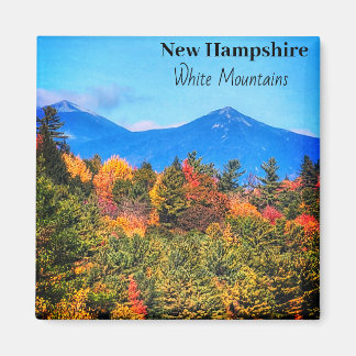New Hampshire White mountains Magnet マグネット