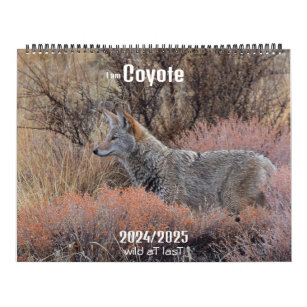 NEW!'I am Coyote' 2024/2025カレンダー カレンダー