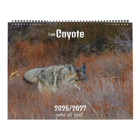 New! 'I am Coyote' 2026/2027 calendar カレンダー (カバー)