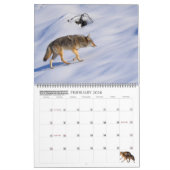 New! 'I am Coyote' 2026/2027 calendar カレンダー (2月 2026)