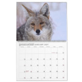 New! 'I am Coyote' 2026 calendar カレンダー (1月 2027)