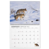New! 'I am Coyote' 2026 calendar カレンダー (2月 2027)