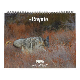 New! 'I am Coyote' 2026 calendar カレンダー