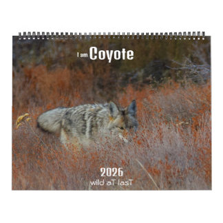 New! 'I am Coyote' 2026 calendar カレンダー