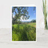 New Life - 1 カード (正面)