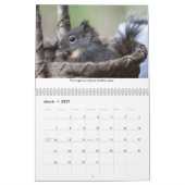 New Life Lessons from Squiggy the Squirrel カレンダー (3月 2027)