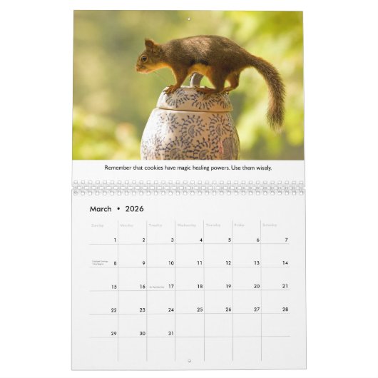 New Life Lessons Funny Squirrel Calendar カレンダー (3月 2026)