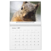 New Life Lessons Funny Squirrel Calendar カレンダー (1月 2027)