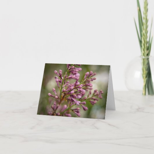 New Mexico Garden サンキューカード (正面)