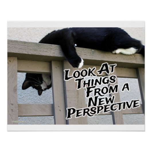 New Perspective 意欲を起こ's Cat Photo Art ポスター (正面)