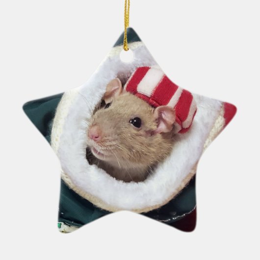 NEW!  Pet Rat Coco Ornament セラミックオーナメント (正面)