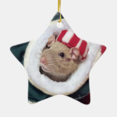 NEW!  Pet Rat Coco Ornament セラミックオーナメント (裏面)