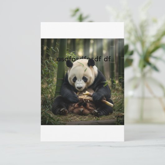 new pop 招待状 (スタンド正面)