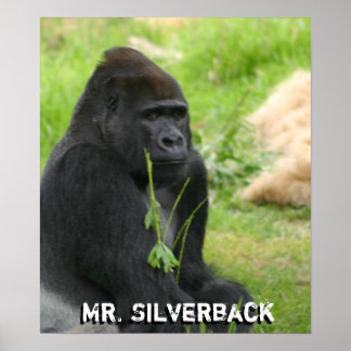 New Poster ポスター