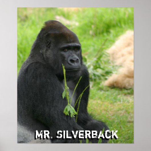 New Poster ポスター (正面)