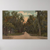 New Smyrna, Florida - View of Magnolia ポスター (正面)
