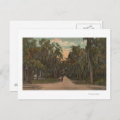 New Smyrna, Florida - View of Magnolia ポストカード (正面/裏面)