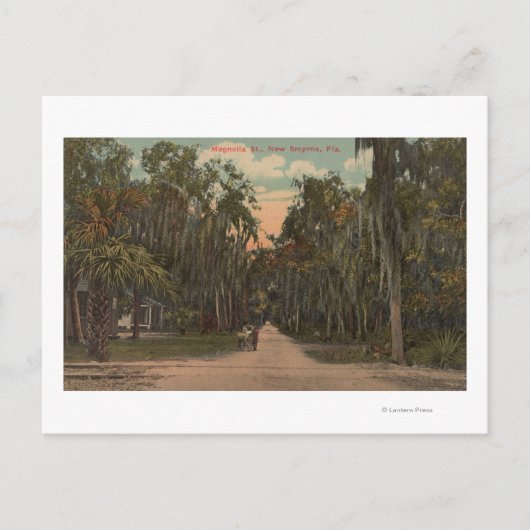 New Smyrna, Florida - View of Magnolia ポストカード (正面)