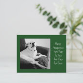 New Year Black and White Photo of Cute Dog Green シーズンポストカード (スタンド正面)