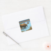 New YorkMoose湖で飲む スクエアシール (封筒)