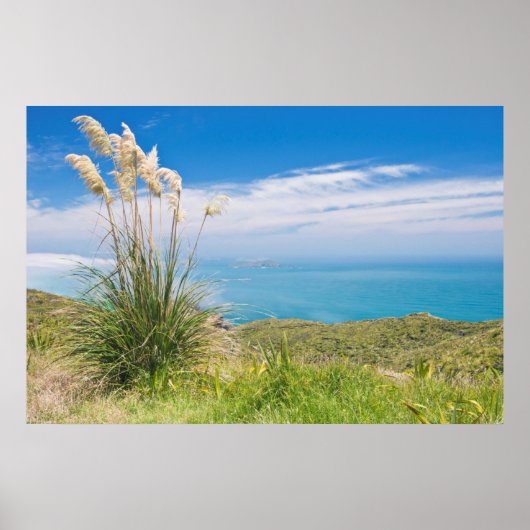 New Zealand, North Island, Cape Reinga 2 ポスター (正面)