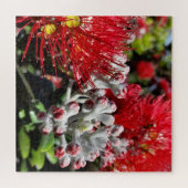 New Zealand Pohutukawa Tree Red Blooming Flower ジグソーパズル (横)
