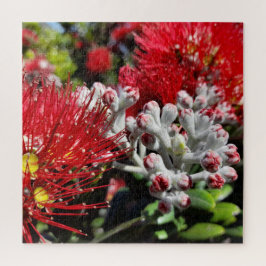 New Zealand Pohutukawa Tree Red Blooming Flower ジグソーパズル