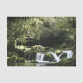 New Zealand Stream with Waterfalls自然写真 薄葉紙 (正面)