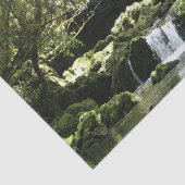 New Zealand Stream with Waterfalls自然写真 薄葉紙 (詳細)