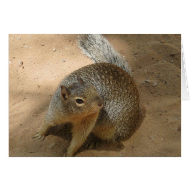 ~New Zion曖昧なGuY~ (正面横)