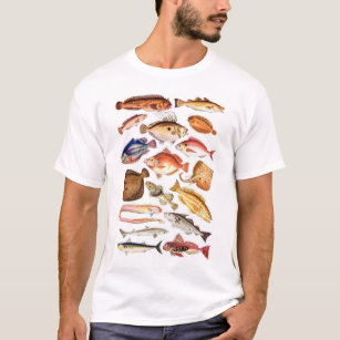 魚tシャツ お魚デザインtシャツ Zazzle Co Jp