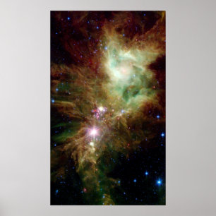 Newborn stars in the Christmas Tree cluster ポスター