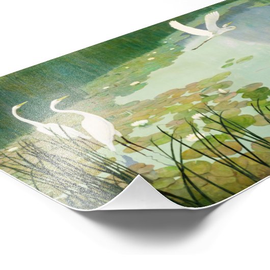 Newell Convers Wyethによる夏のヘロン フォトプリント (角)