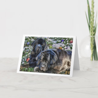 Newfieの休日の願い シーズンカード