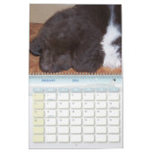 Newfieの少し女の子 カレンダー (2月 2026)