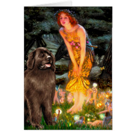 Newfie （茶色） - MidEve