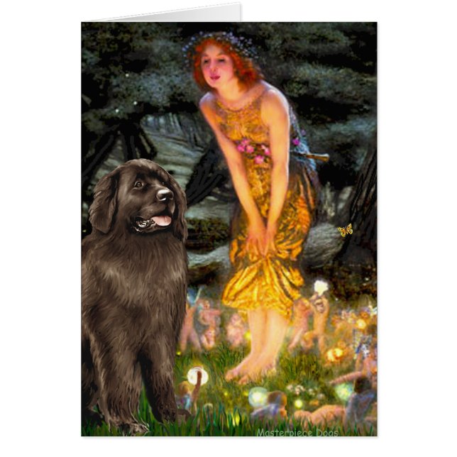 Newfie （茶色） - MidEve (正面)