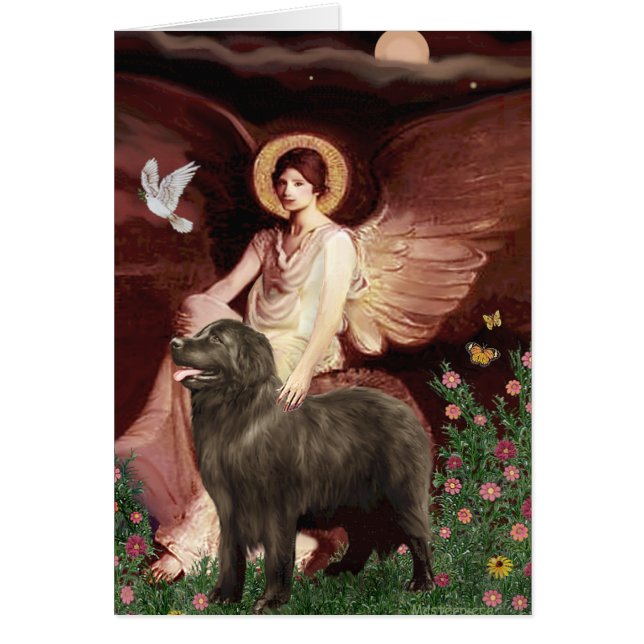 Newfie （茶色） - Suited Angel (正面)