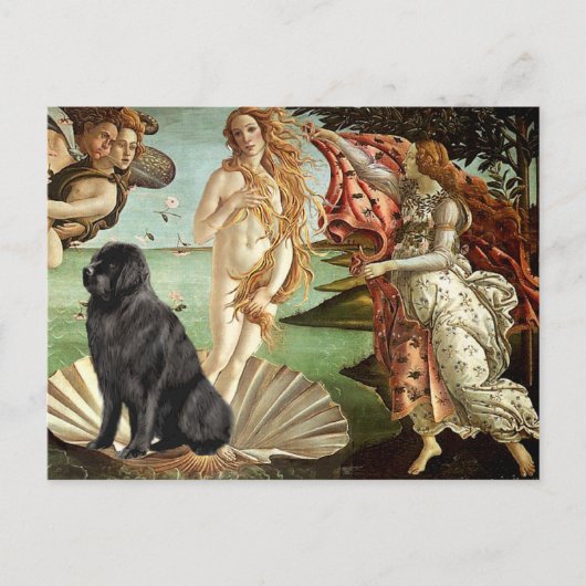 Newfie 1 – ヴィーナス誕生 ポストカード (正面)