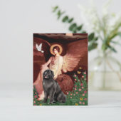 Newfie 2 - Suited Angel ポストカード (スタンド正面)